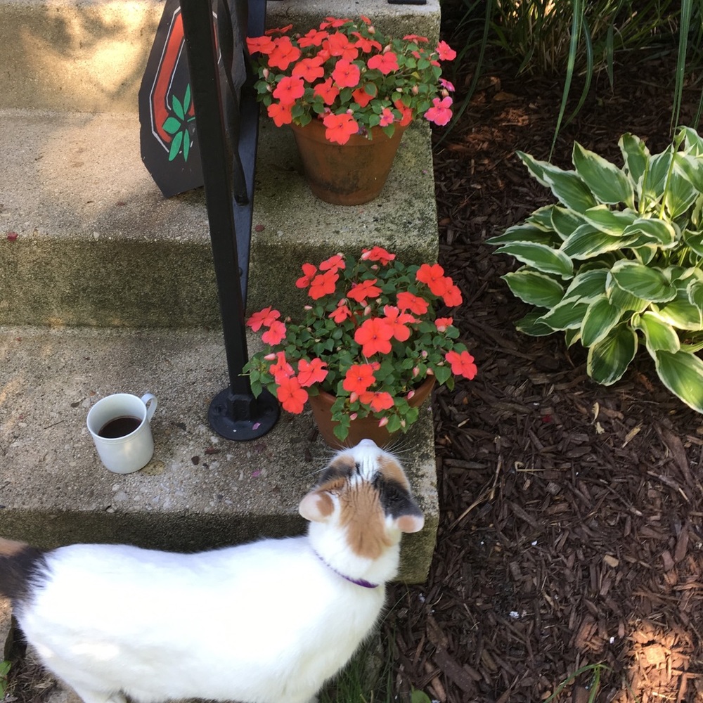 Meet your Posher, Nicole